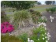 97 Marchfield Road, Wingham NSW 2429