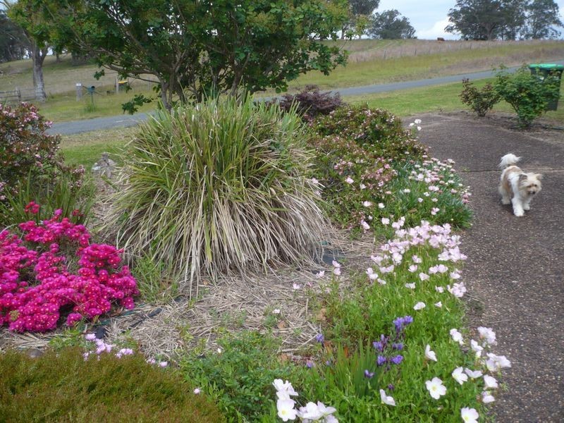 97 Marchfield Road, Wingham NSW 2429