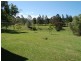 97 Marchfield Road, Wingham NSW 2429