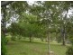 97 Marchfield Road, Wingham NSW 2429