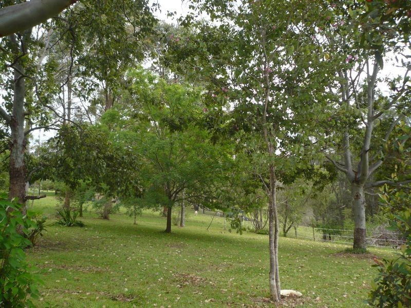 97 Marchfield Road, Wingham NSW 2429