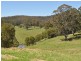 Elands NSW 2429