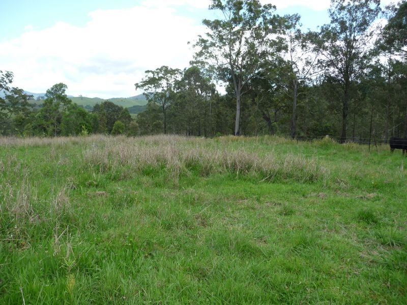 Knorrit Flat NSW 2424