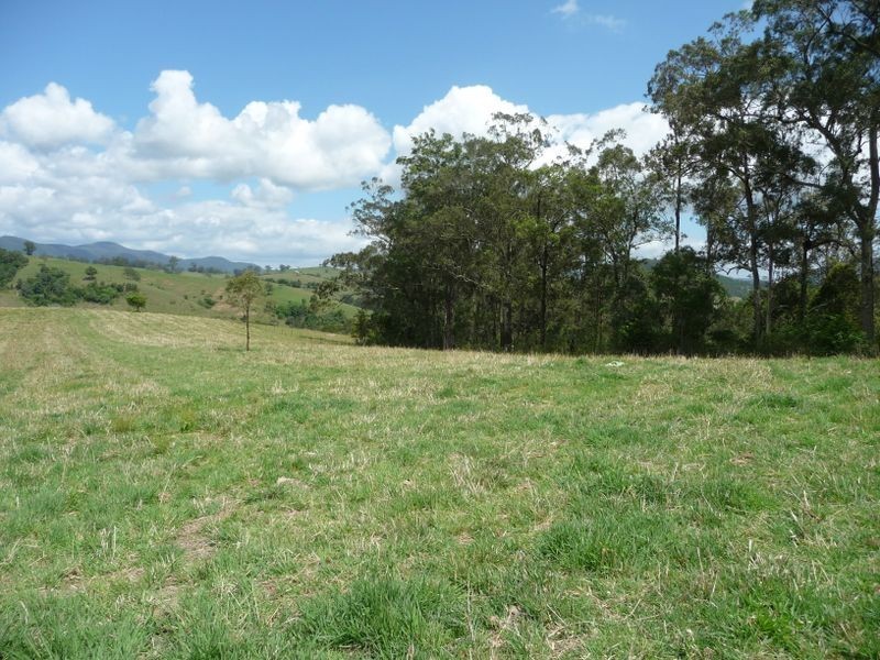 Knorrit Flat NSW 2424