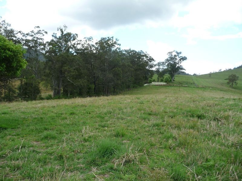 Knorrit Flat NSW 2424