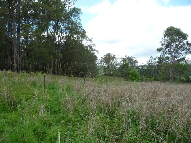 Knorrit Flat NSW 2424