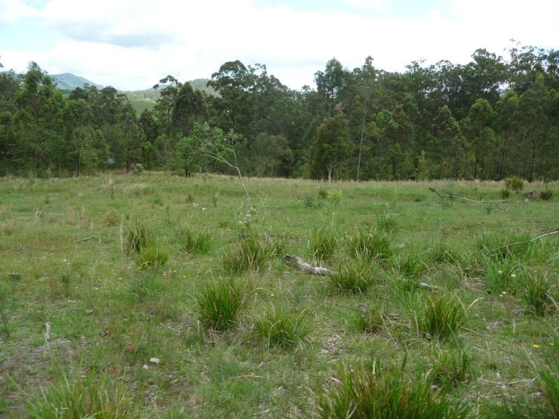 Knorrit Flat NSW 2424