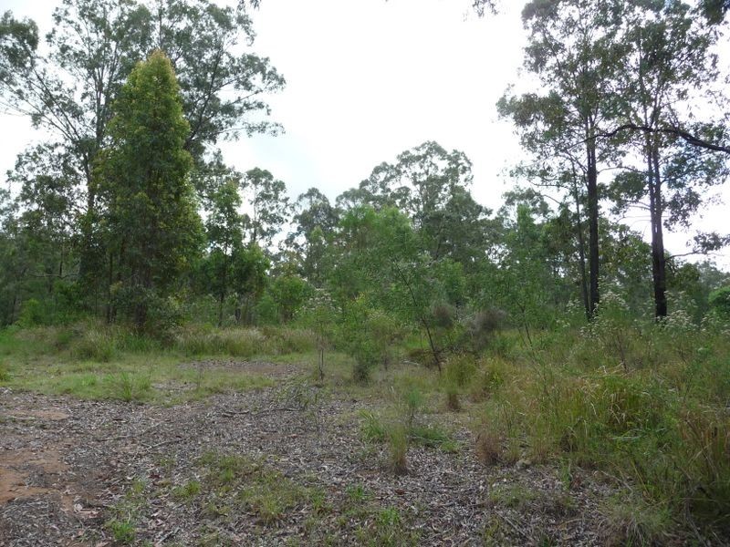 Knorrit Flat NSW 2424