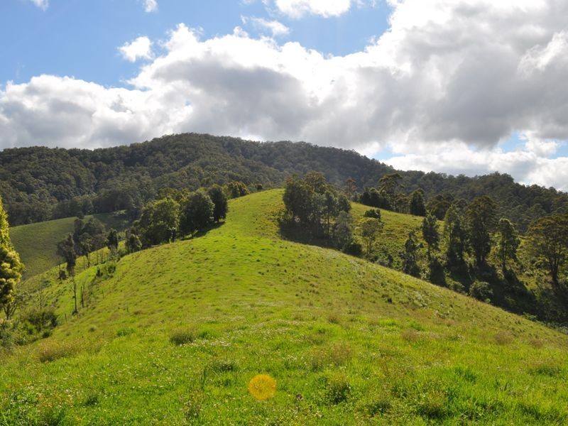 1462 Mooral Creek Road, Wingham NSW 2429