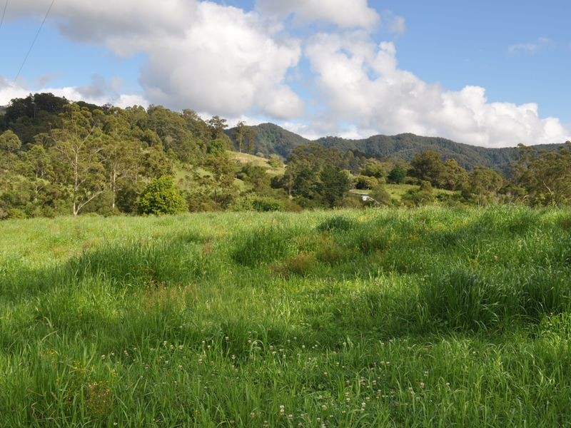 1462 Mooral Creek Road, Wingham NSW 2429