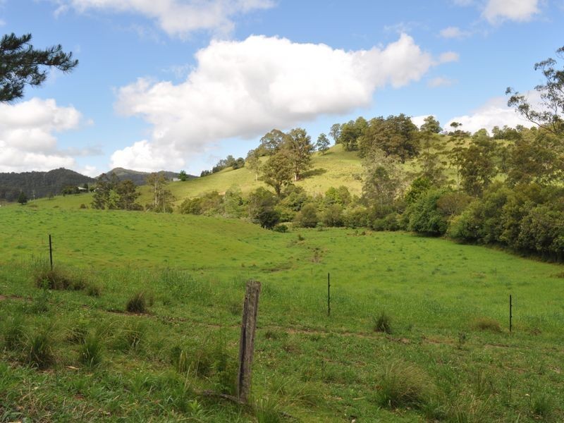 1462 Mooral Creek Road, Wingham NSW 2429