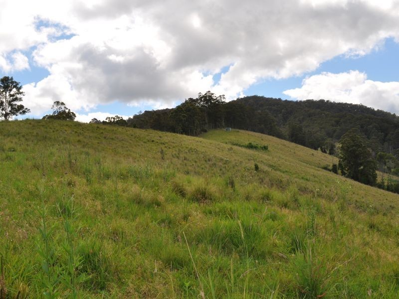 1462 Mooral Creek Road, Wingham NSW 2429