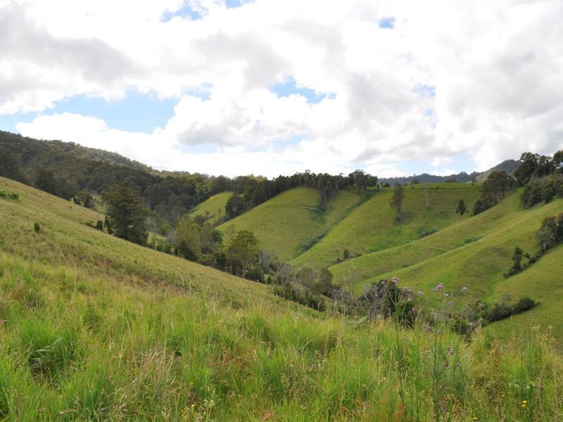 1462 Mooral Creek Road, Wingham NSW 2429