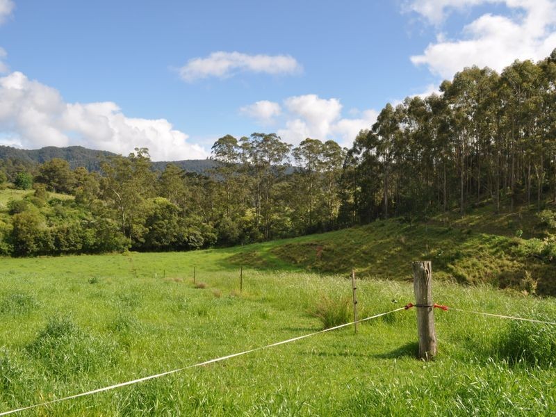 1462 Mooral Creek Road, Wingham NSW 2429