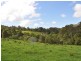 1462 Mooral Creek Road, Wingham NSW 2429