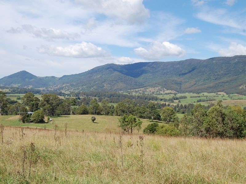 Mount George NSW 2424