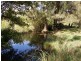 Mount George NSW 2424