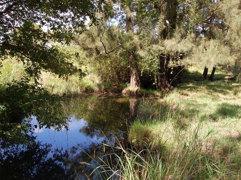 Mount George NSW 2424