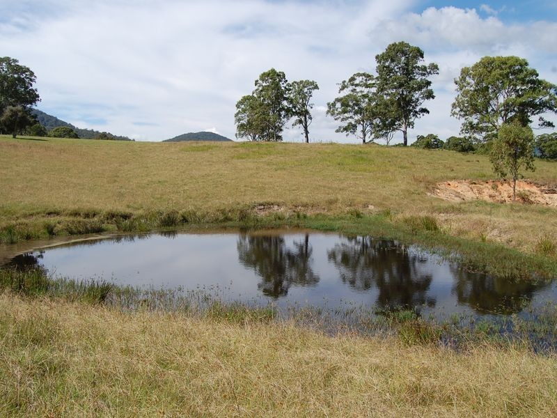 Mount George NSW 2424