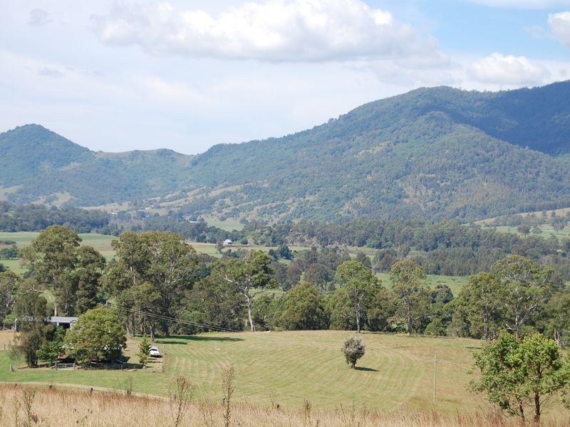 Mount George NSW 2424