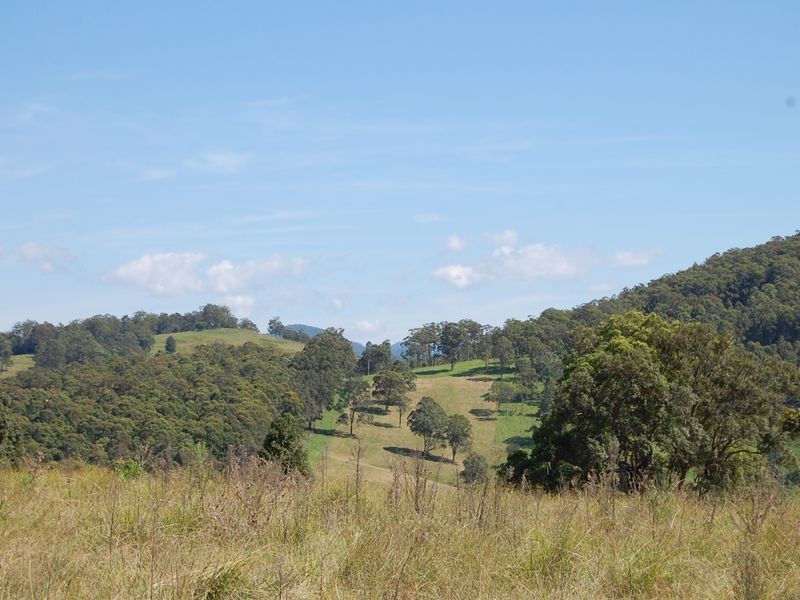 Mount George NSW 2424