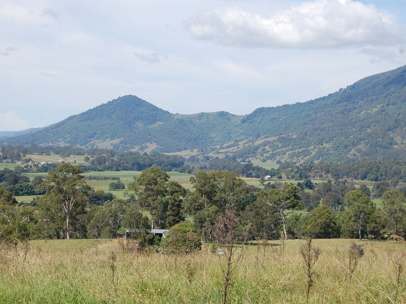 Mount George NSW 2424