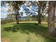 Mount George NSW 2424