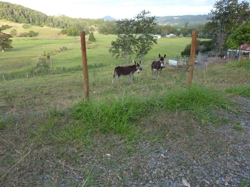 1364 Hannam Vale Rd, Hannam Vale NSW 2443