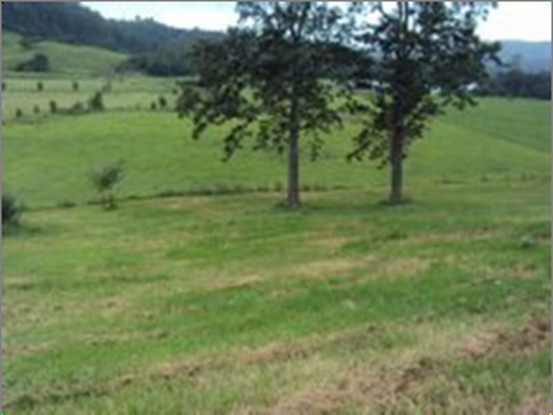 1364 Hannam Vale Rd, Hannam Vale NSW 2443