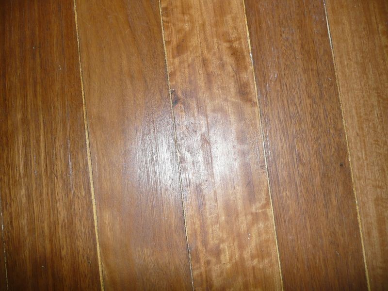 14 William Street, Wingham NSW 2429