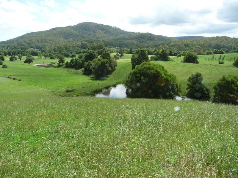 Moorland NSW 2443
