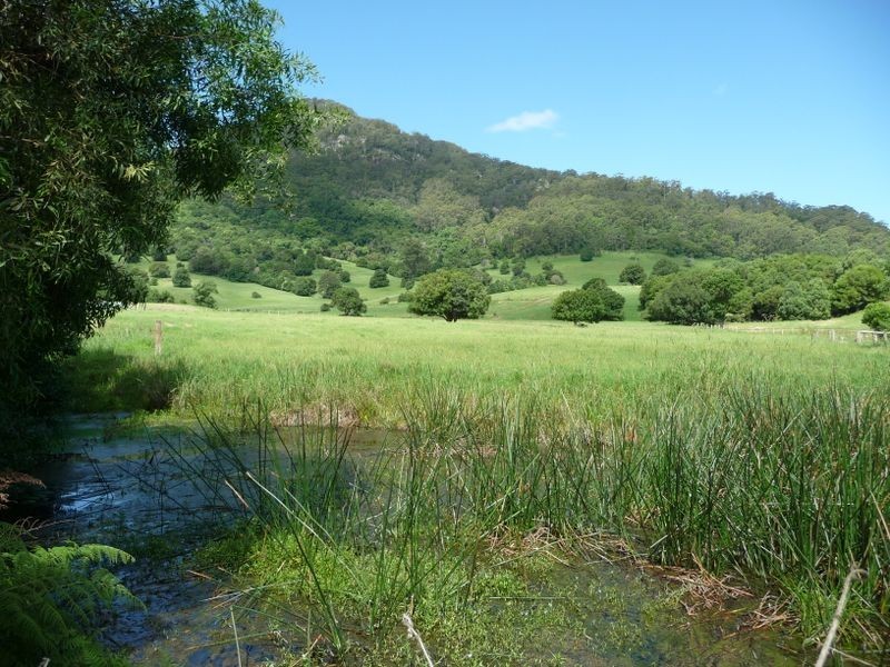 Moorland NSW 2443