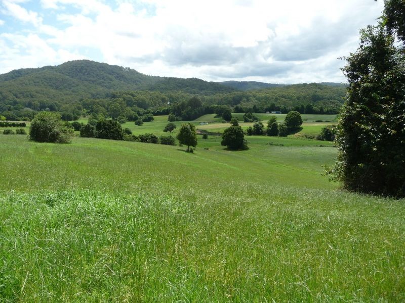 Moorland NSW 2443