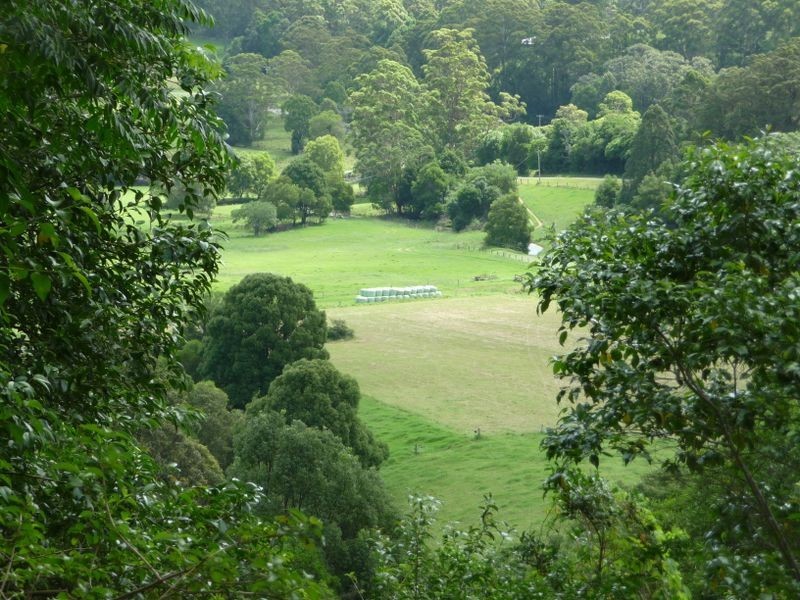 Moorland NSW 2443