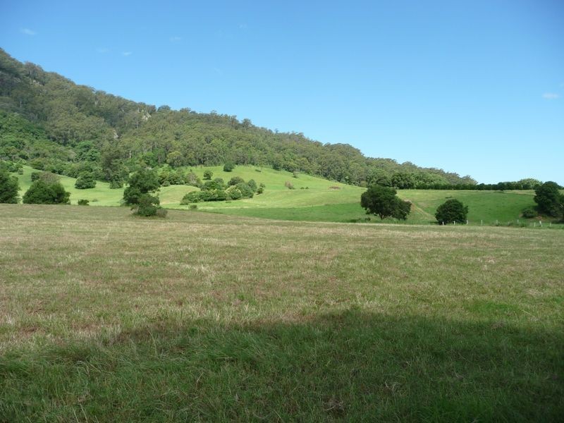 Moorland NSW 2443