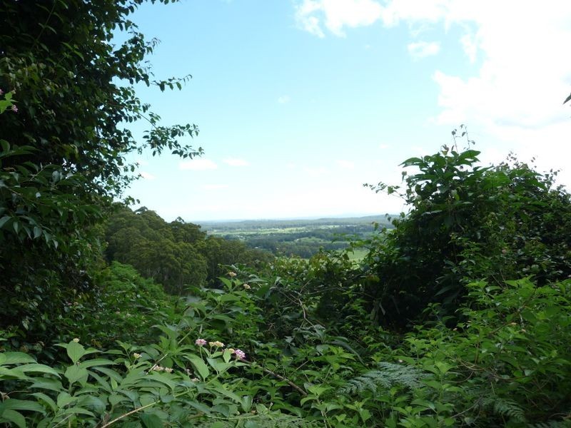 Moorland NSW 2443
