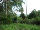 Moorland NSW 2443