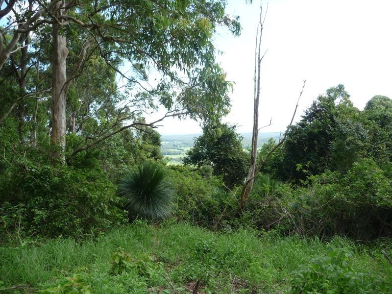 Moorland NSW 2443