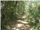 Moorland NSW 2443