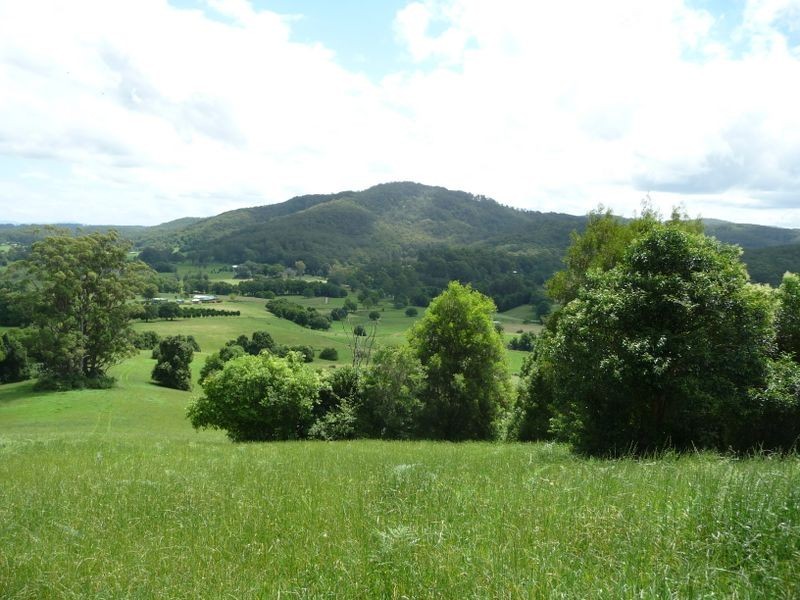 Moorland NSW 2443