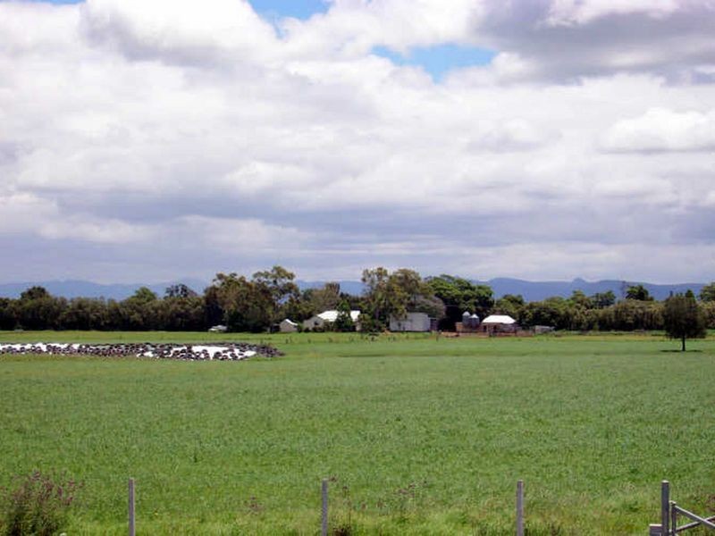 Jones Island NSW 2430