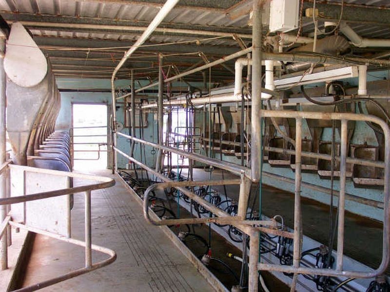 Jones Island NSW 2430