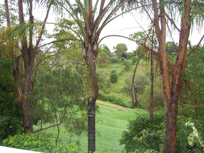 9 Riverview Drive, Wingham NSW 2429
