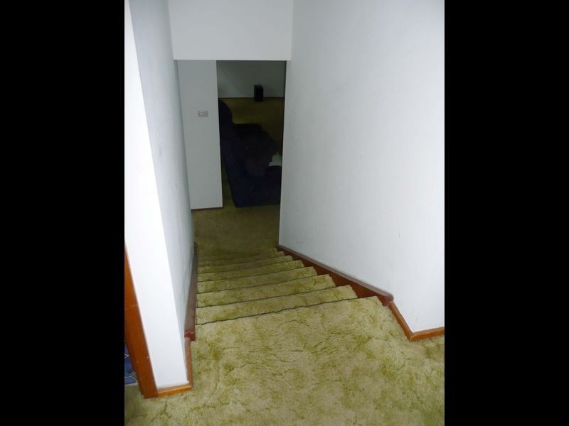 82 Bungay Road, Wingham NSW 2429