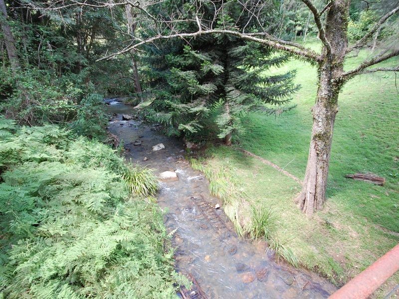 Knorrit Flat NSW 2424