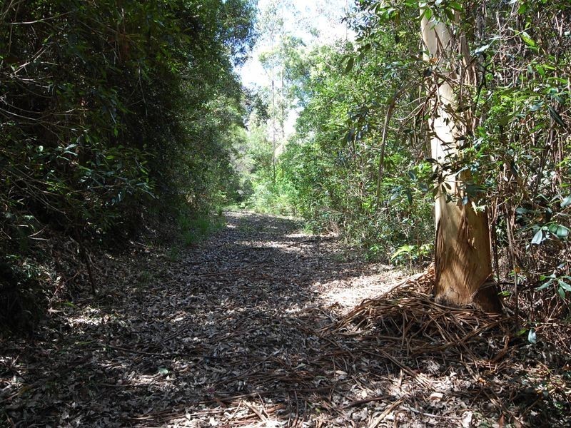 Knorrit Flat NSW 2424