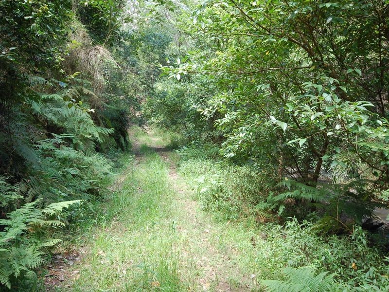 Knorrit Flat NSW 2424