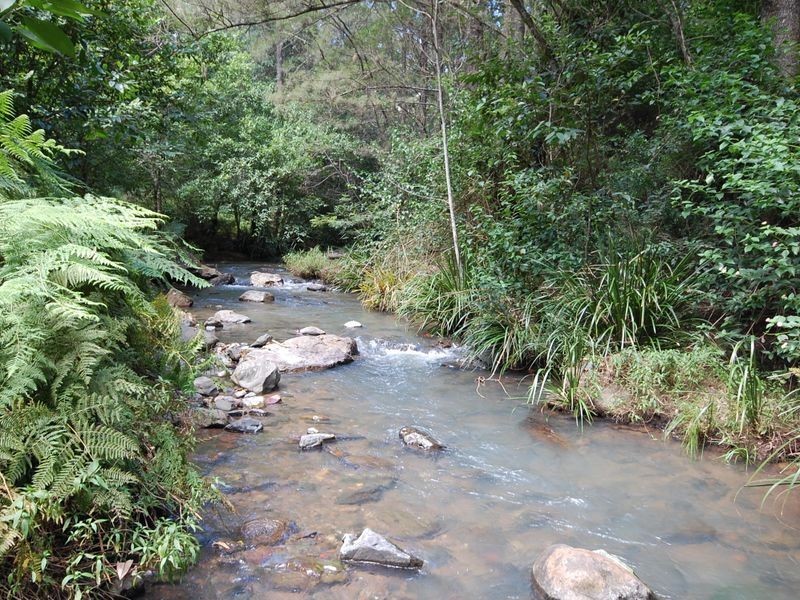 Knorrit Flat NSW 2424