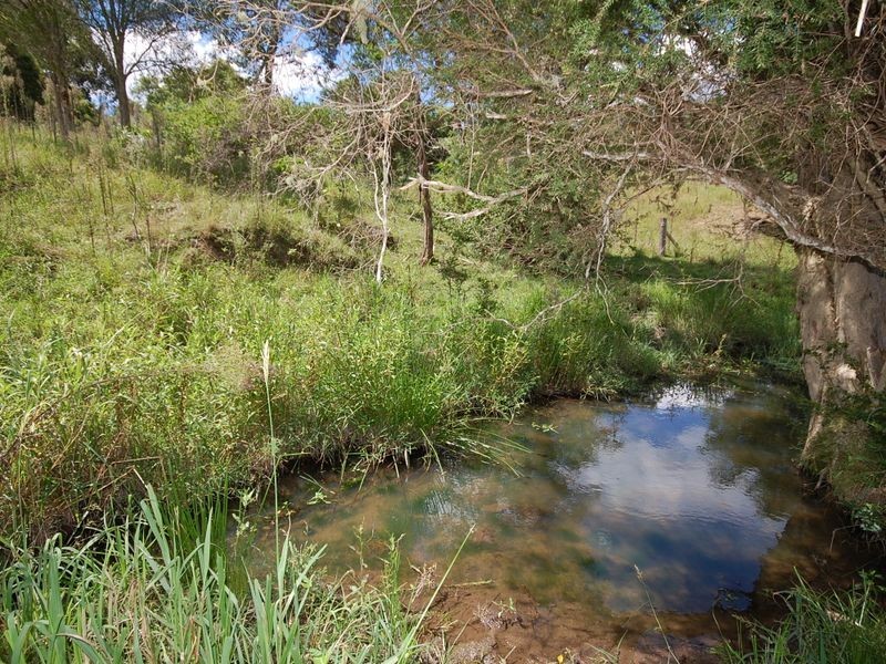 10 Phillip Close, Wingham NSW 2429