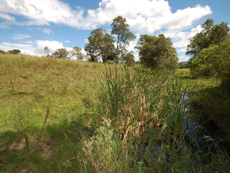 10 Phillip Close, Wingham NSW 2429